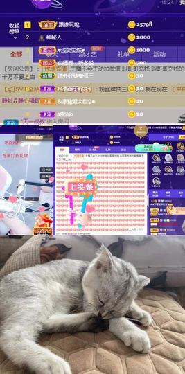 👑䒕暖宝好运旺旺旺主播照片