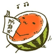 骑行队长西瓜