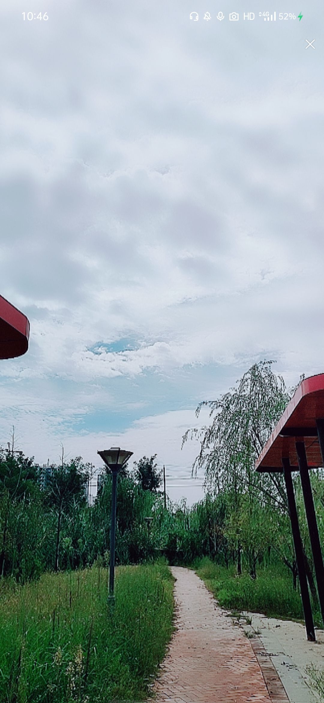 婷婷💕感恩有你陪伴的图片