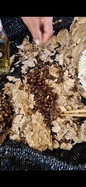 野山蜂王酒/狂笑/狂
