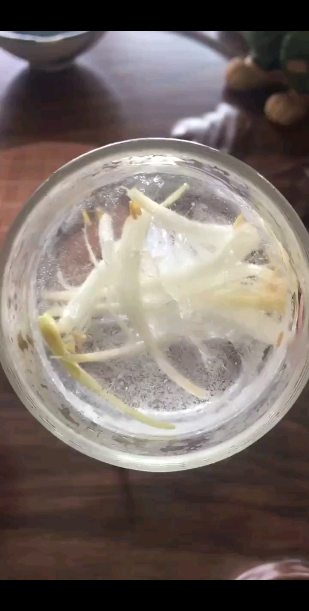 这个你肯定没见过/大