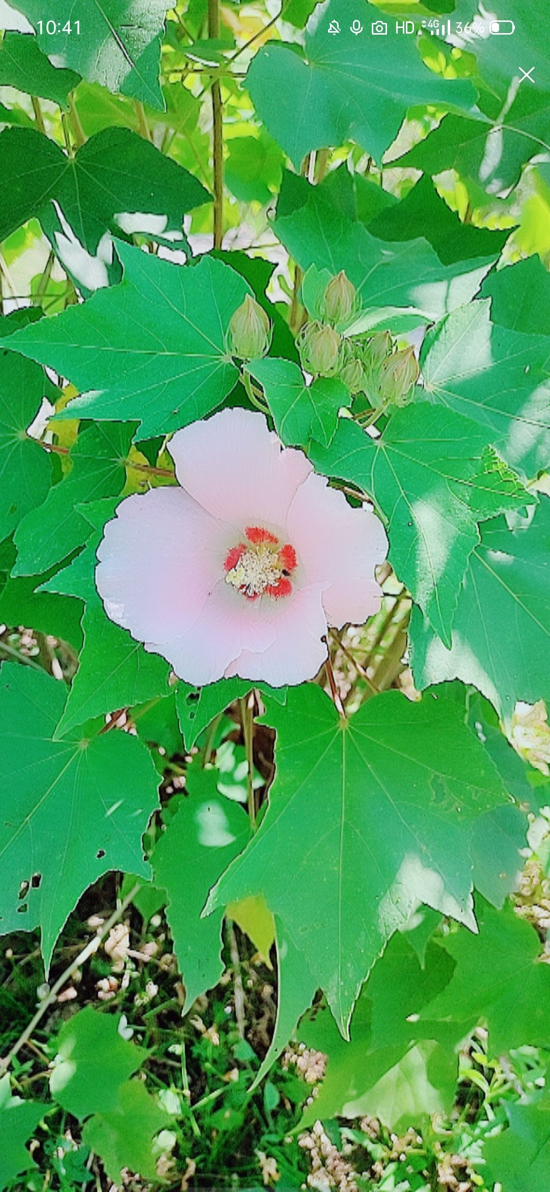 婷婷💕感恩有你陪伴的图片