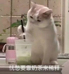 萌新多多求升级主播照片