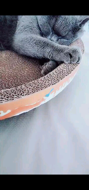 😁