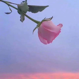 დ释怀დ主播照片