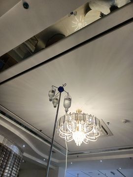 👑䒕暖宝好运旺旺旺主播照片