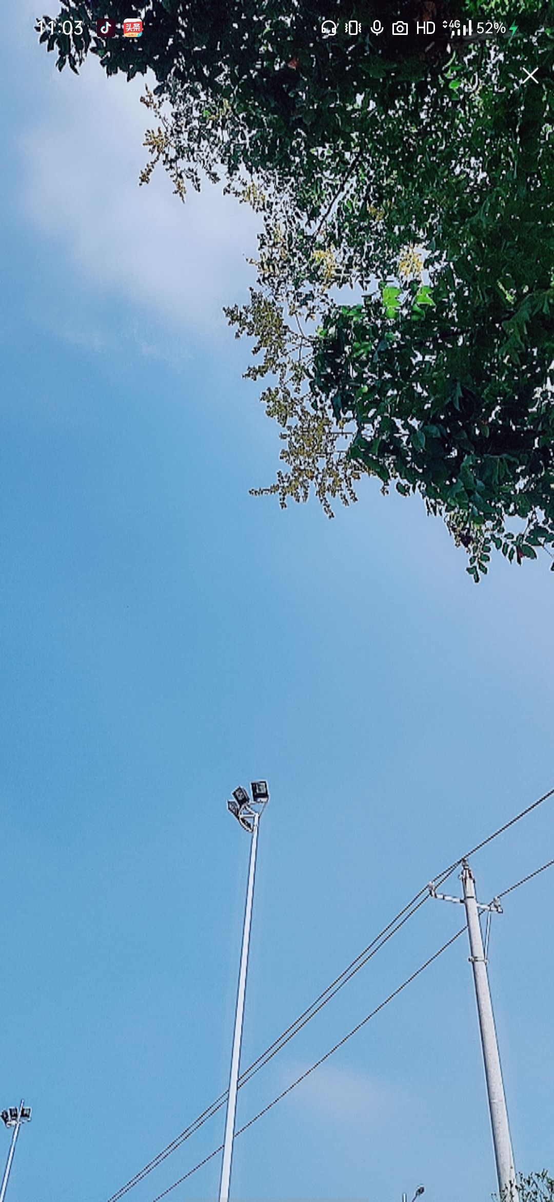 婷婷💕感恩有你陪伴的图片