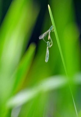 დ释怀დ主播照片