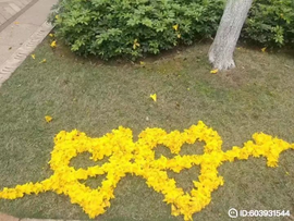 დ释怀დ主播照片