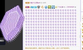 一只柠回老家休主播照片