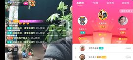 云南壹姐主播照片