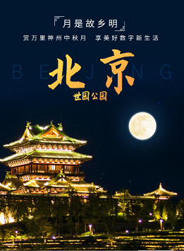 დ释怀დ主播照片