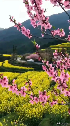 დ释怀დ主播照片
