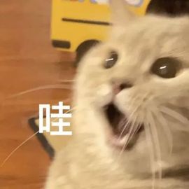 阳阳💕休主播照片