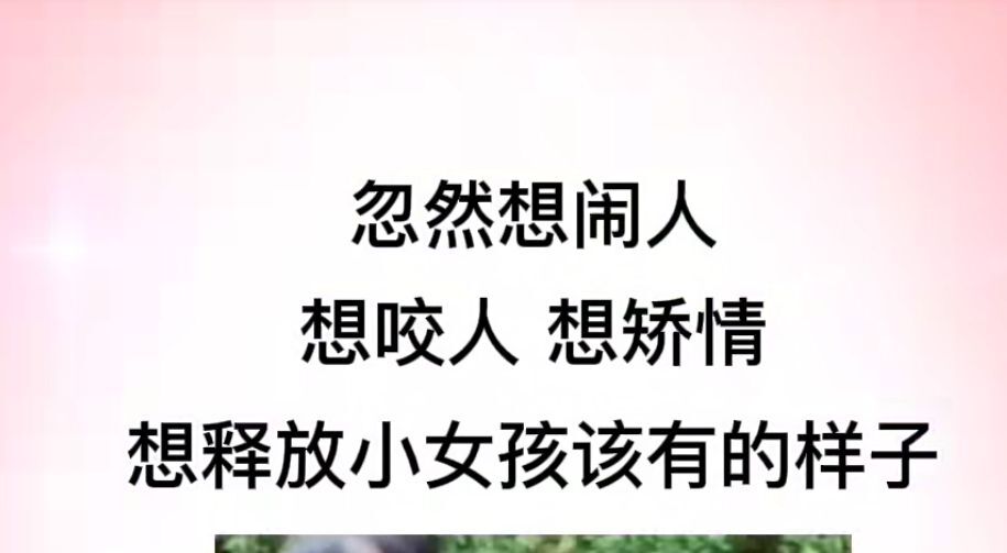 丑小鸭💞愿有一束光的图片