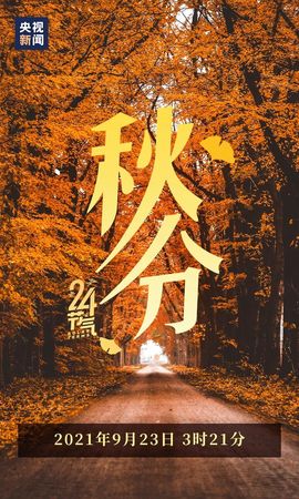 超持久“桑拿天”来了主播照片