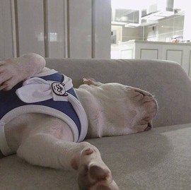 bye～主播照片