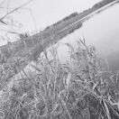 遗忘的号的头像