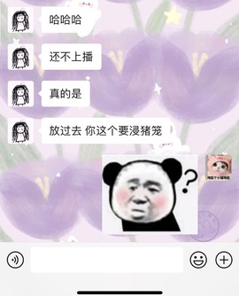 小崽崽zy主播照片