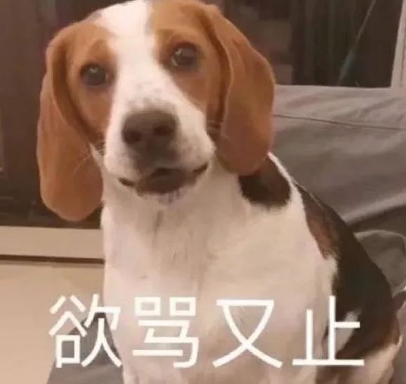 萌新多多求升级的图片