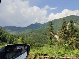 叶子没人疼主播照片