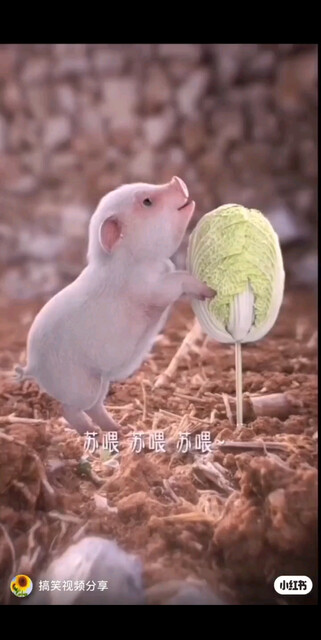 /狂笑/狂笑/狂笑