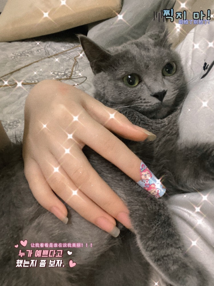 楚瑶瑶的主播照片