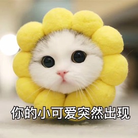 大地的呀主播照片