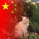 平凡之路$ek