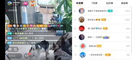云南壹姐主播照片