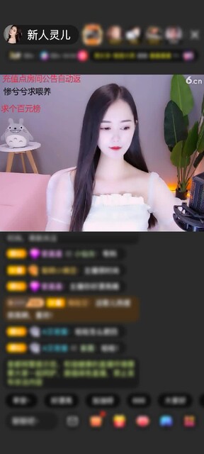 感谢爱你就慢慢守护你赠送魔法星宫门1个