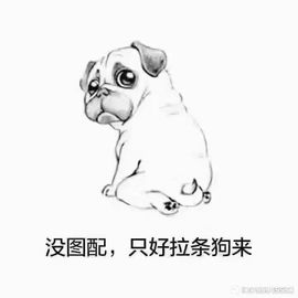 背锅侠【只怼憨总】主播照片