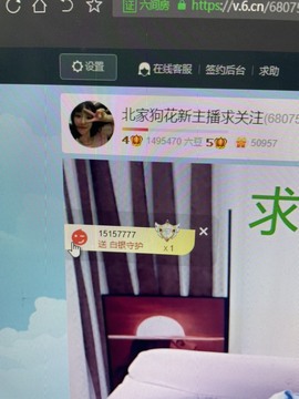 北家花祝大家新年快乐主播照片