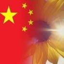向日葵的微笑4w