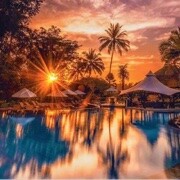 ～命里有时终须有～海报