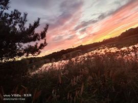 张玉玲8888主播照片