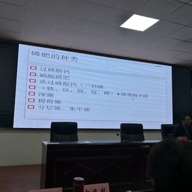 ▄︻┻┳━•主播照片