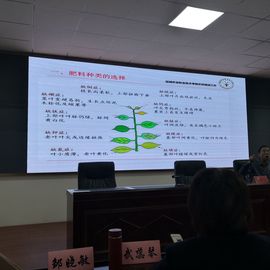 ▄︻┻┳━•主播照片