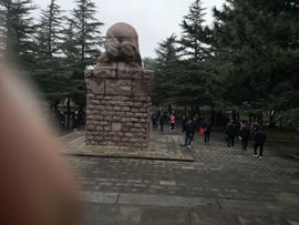 ▄︻┻┳━•主播照片
