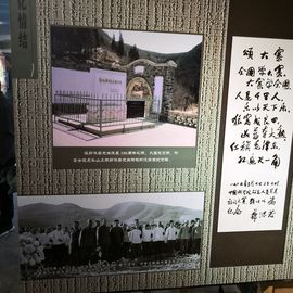 ▄︻┻┳━•主播照片