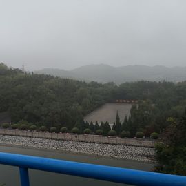 ▄︻┻┳━•主播照片