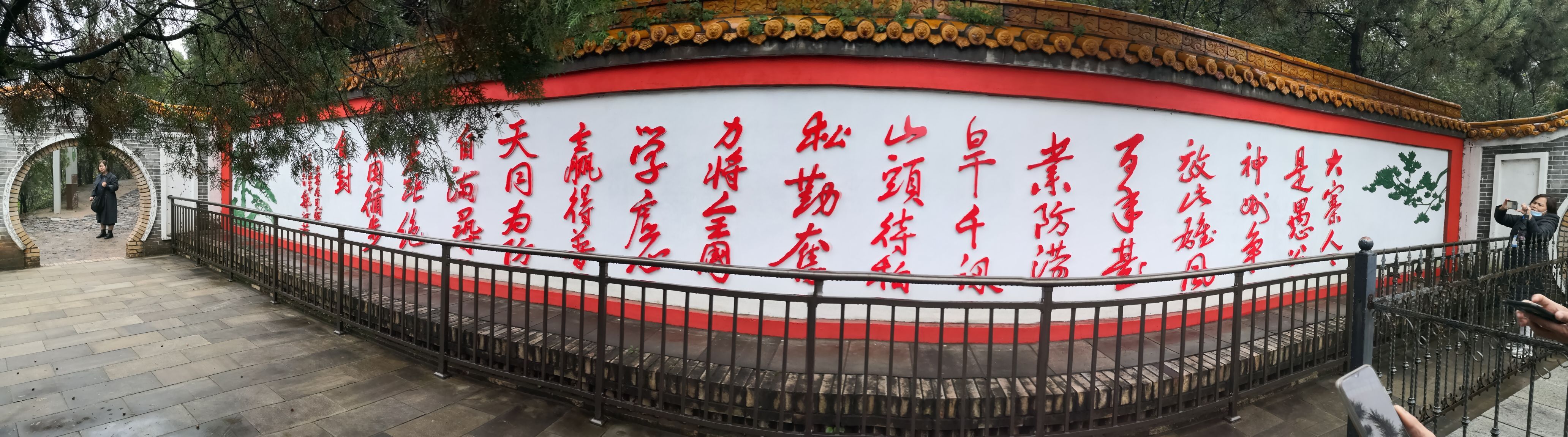 ▄︻┻┳━•的图片