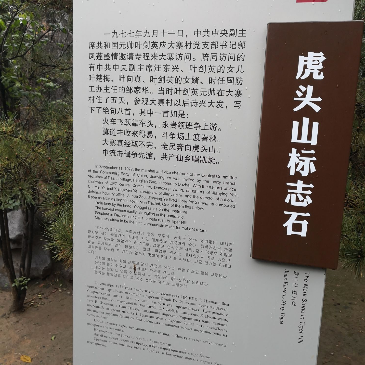 ▄︻┻┳━•的图片