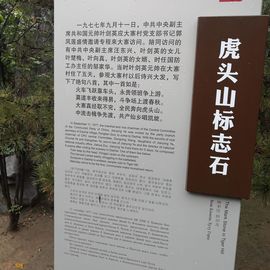 ▄︻┻┳━•主播照片