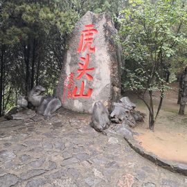 ▄︻┻┳━•主播照片