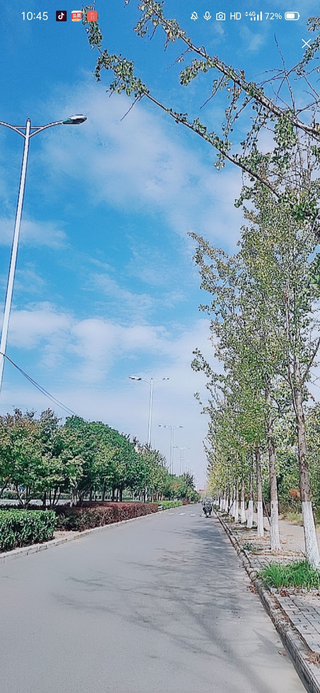 婷婷💕感恩有你陪伴的图片