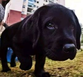 小知秋✨的图片