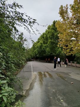 小芳，🌸减肥打卡主播照片