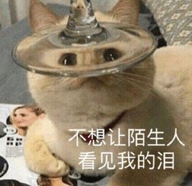 小奶猫谢谢哥哥们主播照片