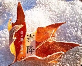 დ释怀დ主播照片